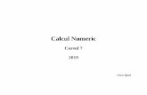 Calcul Numeric - profs.info.uaic.ro ancai/CN/curs/CN - curs 07 - 2019.pdf · PDF filemetoda Gauss-Seidel Propoziţia 1 Dacă matricea A este astfel încât: 2 =1 =1 1 nn ij i j ii