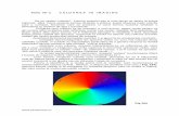 Tema VII -a C U LO A R E A I N I M A G I N E foto/07_culoarea_in_imagine.pdf · Daca aceasta lumina strabate o prisma, puteti observa toate culorile care o compun, fenomen care se