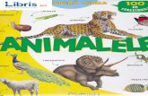 Descopera lumea - Animalele lumea - Animalele.pdf · ANIMALE SÄLBATICE RINOCER Ghepardul este cel mai rapid mamifer din lume: pe distante scurte poate alerga cu 115 kilometri la
