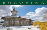 BUCOVINA - cjsuceava.ro · Bucovina este o experienţă. Veniţi să o descoperiţi şi să o trăiţi! Hai în Bucovina! Gheorghe FLUTUR, Preşedintele Consiliului Judeţean Suceava
