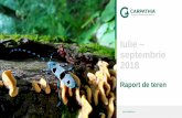 Iulie septembrie 2018 - carpathia.org · • Lucrari de rarituri in padurile de fag si furnizare de lemn de foc in comunitatile dezavantajate 01 Padure: conservare si management.