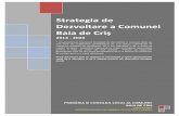 Strategia de Dezvoltare a Comunei - baia-de-cris.ro · Strategia de Dezvoltare a Comunei Baia de Criș 2014 - 2020 Page 6 Planificarea strategică este un proces în mai multe etape,