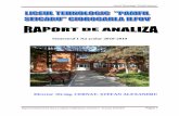 Liceul Tehnologic “Pamfil Seicaru” · Liceul Tehnologic “Pamfil Şeicaru” Raport semestrial privind starea şi calitatea învăţământului. Semestrul I - An şcolar 2018-2019