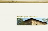 Palatul episcopal Huºi - cjvs.eucjvs.eu/downloads/brosura/Brosura1.pdf · în Europa De Vaslui se leagã obþinerea uneia dintre cele mai importante victorii militare din istoria