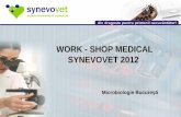WORK - SHOP MEDICAL SYNEVOVET 2012 - vet-magazin.ro · Subiecte abordate • Importanţa fazei preanalitice în microbiologie • Microbiologie în mediu lichid • Procesarea în