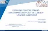 PROBLEME PRACTICE PRIVIND ORGANIZAREA TIMPULUI DE … îndeplineşte sarcinile şi atribuţiile sale, conform prevederilor contractului individual de muncă, contractului colectiv