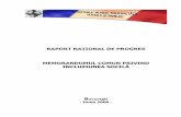 Raport de progres JIM integrat - mmuncii.ro si... · Piramida vârstelor pentru populaţia României în perioada 1990-2006 evidenţiază un proces lent dar continuu de îmbătrânire