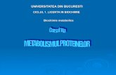 UNIVERSITATEA DIN BUCURESTI - dbbm.bio.unibuc.rodbbm.bio.unibuc.ro/pdf/licenta_2014/biochimie/Metabolismul_proteinelor.pdf · Nu este afectata degradarea proteinelor anormale si cu