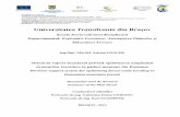 Universitatea Transilvania din Brașovold.unitbv.ro/Portals/31/Sustineri de doctorat/Rezumate/EnacheAdrian.pdf · Sistem de suport decizional privind optimizarea amplasării drumurilor