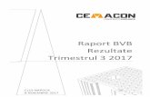Raport BVB Rezultate Trimestrul 3 2017 - cemacon.ro · operationale, dezvoltarea organizationala si imbunatatirea vanzarii ne-au ajutat sa avem o marja EBITDA de 31% la 9 luni, fata