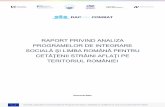 RAPORT PRIVIND ANALIZA PROGRAMELOR DE INTEGRARE … fileraport privind analiza programelor de integrare socialĂ Şi limba romÂnĂ pentru cetĂŢenii strĂini aflaŢi pe teritoriul