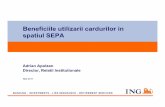 Beneficiile utilizarii cardurilor in spatiul SEPA - arb.ro · Cadrul SEPA in domeniul Cardurilor SEPA Cards Framework • SCF a fost creat de EPC –CWG in cursul anului 2005 •