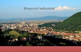 Braṣovul industrial - romcrest.org · Nitramonia”, din perioada interbelicã, “s-a dezvoltat in anii socialismului ajungând la peste 8000 de angajaţi. In prezent este demolat.