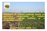 INCDA Fundulea - madr.gov.ro fileProducţia de boabe (kg haˉ¹) 0 50 100 150. 1.2.1/2 2.3. Influenţa lucrărilor solului asupra consumului mediu de apă al culturii de grâu în