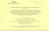 expertiza... · Universitatea Tehnica de Constructii Bucuresti Doctor Honoris Causa al U. T. C. B. Presedinte de Onoare al Asociatiei Romane de lnginerie Seismica Expert tehnic in