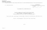 Scanned Document - primariapetelea.ro · baza contractului de achizitie publica ce se va incheia in urma finalizarii procedurii de achizitie publica. Organizarea si desfasurarea procedurii