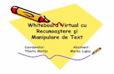 Whiteboard Virtual cu Recunoa ştere şi Recunoaştere şi ...users.utcluj.ro/~tmarita/IOC/C3/C3.pdf · • ÎmpărŃirea imaginii care conŃine doar un caracter în sub-imagini cu