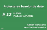 # 12 PL/SQL Pachete în PL/SQL Adrian Runceanu · 1. Crearea pachetelor Am studiat pana acum cum sa cream si cum sa folosim procedurile si functiile. Sa presupunem ca vrem sa cream