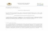 Parlamentul României Camera Deputaţilor Domnului Valer ...media.hotnews.ro/media_server1/document-2018-06-21-22522624-0-sesizare... · campaniilor electorale, precum și a sancțiunilor
