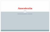Anestezia · Tipuri de anestezie 13 Generală TIVA Analgosedare Regională Bloc periferic Locală Anesztezie de conducere. A páciens kivizsgálása 14 Konziliumok (kardiológia,
