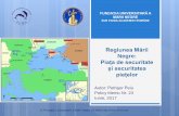 Regiunea Mării Negre: Piața de securitate și securitatea ...fumn.eu/wp-content/uploads/2017/06/Policy_Memo_Nr_23_FUMN_Regiunea... · Loc global Populație Loc global PIB/capita