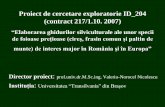 Proiect de cercetare exploratorie ID 204 (contract 217/1 ...uefiscdi.gov.ro/userfiles/file/COMISIA 5/NICOLESCU VALERIU.pdf · 2004-oct. 2008), la care prof.univ.dr.M.Sc.ing. Valeriu-Norocel