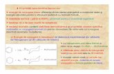 Proprietăţi caracteristice benzenuluiorg1.chim.pub.ro/studenti/istrati_2013_anul_2/C13_AROMATICE _2.pdf · htendinţa de a da usor reactii de substitua de a da usor reactii de substituţie,