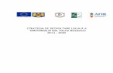STRATEGIADEDEZVOLTARELOCALĂA …galvaleabuzaului.ro/wp-content/uploads/2017/03/strategia_de_dezvoltare... · principalele caracteristici vizate de intervenția LEADER: teritoriu
