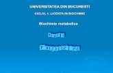 CICLUL 1. LICENTA IN BIOCHIMIE - unibuc.rodbbm.bio.unibuc.ro/pdf/licenta_2014/biochimie/Metabolismul_glucidelor_3.pdf · transportorului GLUT2. Glicoliza si metabolismul oxidativ