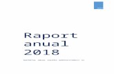 Raport anual 2018€¦ · Web viewUlterior, în vederea executării Hotărârii Guvernului nr.407 din 25.04.2018, la 08.04.2019 a fost transferată și a doua tranșă de mijloace