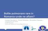Bolile pulmonare rare in Romania-unde ne aflam? · 2018-12-17 · Distrofia musculara Duchene Distrofia musculara Becket Amiotrofia spinala Scleroza laterala amiotrofica Miastenia