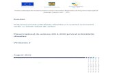 Introducere - Guvernul Romaniei · Web viewSecțiunea a patra prezintă acordurile instituționale pentru dezvoltarea generală și implementarea planului naţional de acțiune. Secțiunile