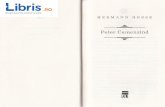 HERMANN HESSE - cdn4.libris.ro Camezind - Hermann Hesse.pdf · HERMANN HESSE de admiragie qi dispret.Fiecare nou proiect al cumnatului sdu ii stArnea o currozitate ;i un en- tuziasrn