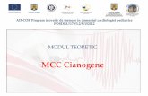 MCC cianogene - AD-COR Program inovativ de formare în ... · Manifestari clinice •Suflul se aude de la nastere: este dat de stenoza pulmonara (DSV este larg nerestrictiv) •Cianoza