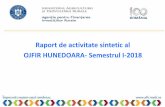 Raport de activitate sintetic al OJFIR HUNEDOARA- Semestrul I- … · 2018-09-26 · Raport de activitate sintetic al OJFIR HUNEDOARA- Semestrul I- 201 8. P v ] v µ&]vv / vÀ ] ]]o}