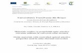 Universitatea Transilvania din Brașovold.unitbv.ro/Portals/31/Sustineri de doctorat/Rezumate/MileaAndreea.pdf · Investeşte în oameni! FONDUL SOCIAL EUROPEAN Programul Operaţional