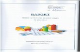 RAPORT - Chișinău · 2019-02-22 · RAPORT privind activitatea de audit intern pentru anul 201 8 Direc ia Audit Intern - 3 - - 3 - Abrevier i AAI APL AAP M CFPI CMC IMSP IPLT Bä