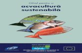 Ghid pentru o acvacultură sustenabilă · 2018-09-24 · 6. Tratarea apei în sistemele de acvacultură intensive prin terenuri umede şi bazine piscicole extensive- Studiul de caz