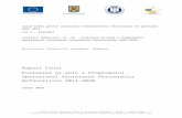 Rapport anglais - Guvernul Romaniei · Web viewRaport Final de Evaluare (versiune proiect), inclusiv Ghidul privind indicatorii și propunerea de Plan de Evaluare, depuse în ianuarie