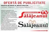 OFERTĂ DE PUBLICITATE · 2012-06-18 · >> TELEVIZIUNEA din casa TA! OFERTĂ DE PUBLICITATE Înfiinţată în septembrie 2004, SC MEDIA GRUP SRL a ocupat atât în 2009, cât şi