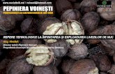 voinesti@hotmail.com PEPINIERA VOINEȘTI · 2019-10-28 · PEPINIERA VOINESTI 70 000 pomi altoiți de nuc, dintre care 30% sunt livrați în România și Ucraina 300 000 portaltoi