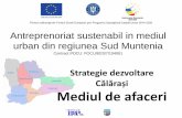 Călărași Mediul de afaceri...Proiect cofinanţat din Fondul Social European prin Programul Operaţional Capital Uman 2014-2020 Mediul de afaceri local Mediul de afaceri. Sectorul