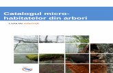 Catalogul micro- habitatelor din arbori · Micro-habitate saproxilice Descriere Tip Cod Ilustraţii Cavități Galerii de insecte șicanale Diametrul de intrare sau de ieșire este