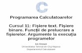 Programarea Calculatoarelor Cursul 11: Fișieretext ...users.utcluj.ro/~igiosan/Resources/PC/Curs/C11.pdfProgramarea Calculatoarelor Cursul 11: Fișieretext.Fișiere binare. Funcții