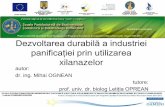Dezvoltarea durabilă a industriei panificației prin utilizareadidu.ulbsibiu.ro/postdoc/ognean.pdf · afinitate foarte mare pentru apă(15 –20 ori masa lor; 25% din apa legată