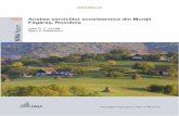 1251 Analiza serviciilor ecosistemice din Munții Făgăraș ... · Geologia de bază este de origine principal metaforică, fiind alcătuită din șisturi cristaline (Nedelea & Comanescu,