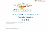 Raport Anual de Activitate 2013 - darassociation.orguri si training-uri folosind instrumente si metode de educatie non-formala în sprijinul dezvoltarii de ... Activitati de dezvoltarea