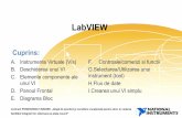 LabVIEW - Departamentul de Automatică și Informatică ...shiva.pub.ro/new/wp-content/uploads/2013/05/L1-LabVIEW.pdf · Contract POSDRU/90/2.1/S/60390: „Stagii de practică și