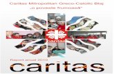 Caritas Mitropolitan Greco-Catolic Blaj o poveste frumoascaritas-blaj.ro/files/RAPORT_ANUAL_2010_ro.pdf · 2011-06-30 · care a fost sensibil la nevoile de sus inere a activit ii