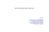 INTERNET - ERASMUS Pulsestst.elia.pub.ro/news/CI_2008/CI01_INTRO/INTRO_INTERNET.doc · Web viewO alta categorie importanta, angajatii, utilizeaza web-ul pentru satisfacerea nevoii